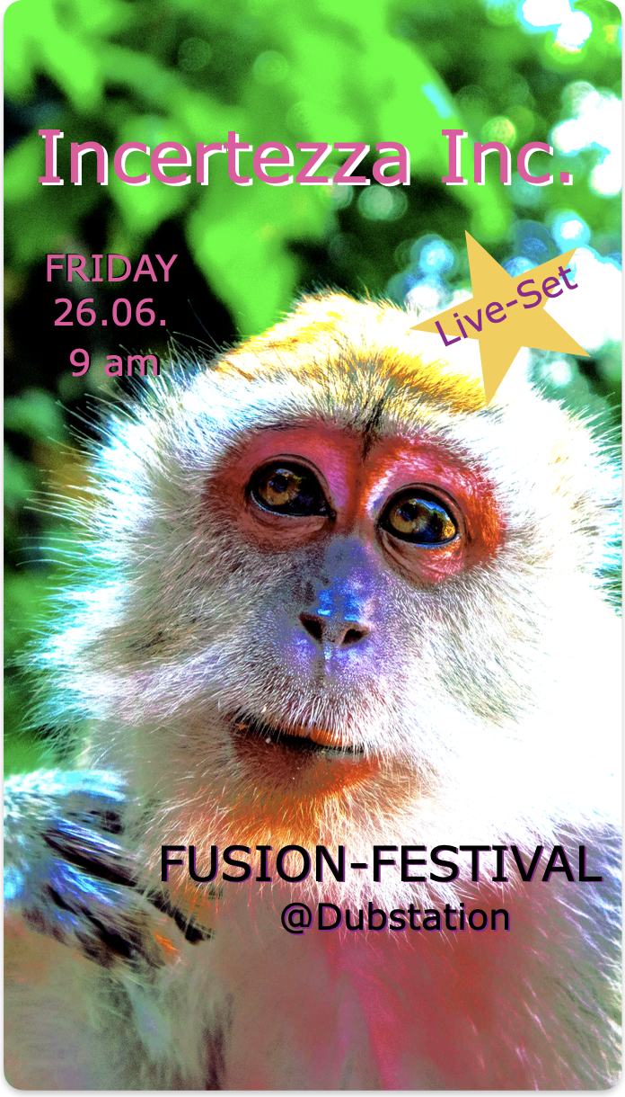 Incertezza Inc. at this years Fusion Festival